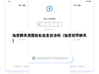 加密聊天泄露隐私信息犯法吗（加密软件聊天）