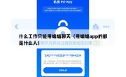 什么工作只能用蝙蝠聊天（用蝙蝠app的都是什么人）