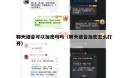 聊天语音可以加密吗吗（聊天语音加密怎么打开）