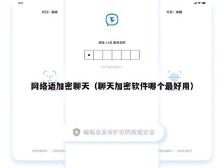 网络语加密聊天（聊天加密软件哪个最好用）