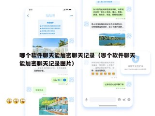 哪个软件聊天能加密聊天记录（哪个软件聊天能加密聊天记录图片）