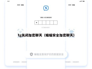 tg关闭加密聊天（蝙蝠安全加密聊天）