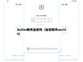 botim聊天加密吗（加密聊天secret）