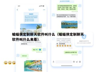 蝙蝠侠定制聊天软件叫什么（蝙蝠侠定制聊天软件叫什么来着）
