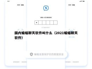 国内蝙蝠聊天软件叫什么（2021蝙蝠聊天软件）
