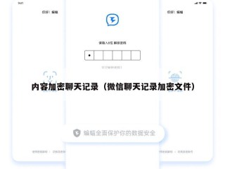 内容加密聊天记录（微信聊天记录加密文件）