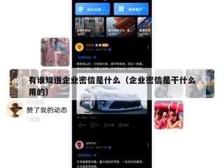 有谁知道企业密信是什么（企业密信是干什么用的）