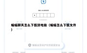 蝙蝠聊天怎么下载到电脑（蝙蝠怎么下载文件）