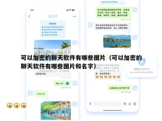 可以加密的聊天软件有哪些图片（可以加密的聊天软件有哪些图片和名字）