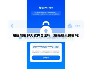 蝙蝠加密聊天软件合法吗（蝙蝠聊天保密吗）