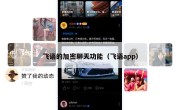 飞语的加密聊天功能（飞语app）