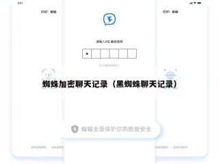蜘蛛加密聊天记录（黑蜘蛛聊天记录）