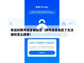 微信的聊天语音被加密（聊天语音加密了无法播放怎么回事）