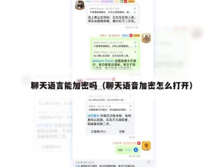 聊天语言能加密吗（聊天语音加密怎么打开）