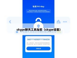 skype聊天工具加密（skype设置）