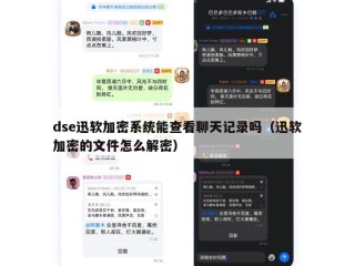 dse迅软加密系统能查看聊天记录吗（迅软加密的文件怎么解密）