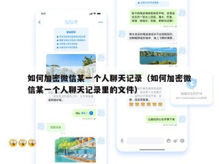 如何加密微信某一个人聊天记录（如何加密微信某一个人聊天记录里的文件）