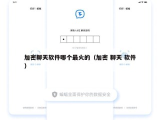加密聊天软件哪个最火的（加密 聊天 软件）