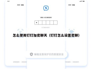 怎么使用钉钉加密聊天（钉钉怎么设置密聊）