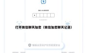 打开微信聊天加密（微信加密聊天记录）