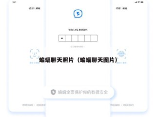 蝙蝠聊天照片（蝙蝠聊天图片）