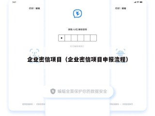 企业密信项目（企业密信项目申报流程）