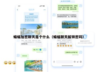 蝙蝠加密聊天是个什么（蝙蝠聊天解锁密码）