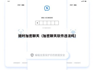 随时加密聊天（加密聊天软件违法吗）