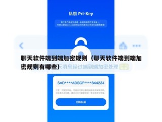 聊天软件端到端加密规则（聊天软件端到端加密规则有哪些）