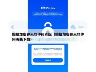 蝙蝠加密聊天软件网页版（蝙蝠加密聊天软件网页版下载）