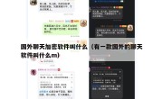 国外聊天加密软件叫什么（有一款国外的聊天软件叫什么m）