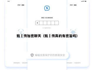 甄嬛传加密聊天（甄嬛传真的有密旨吗）