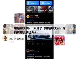 蝙蝠聊天的vip太贵了（蝙蝠聊天app真的有那么安全吗）