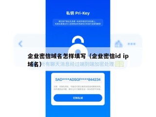 企业密信域名怎样填写（企业密信id ip域名）
