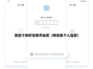 微信个别好友聊天加密（微信某个人加密）
