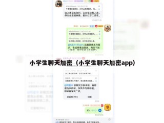 小学生聊天加密（小学生聊天加密app）
