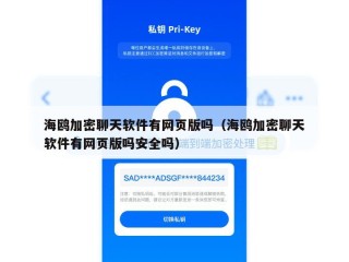海鸥加密聊天软件有网页版吗（海鸥加密聊天软件有网页版吗安全吗）