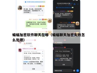蝙蝠加密软件聊天在哪（蝙蝠聊天加密失败怎么处理）