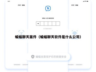 蝙蝠聊天案件（蝙蝠聊天软件是什么公司）