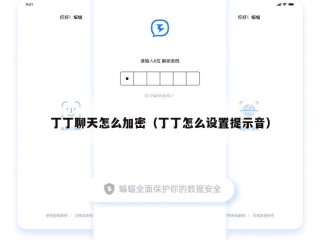 丁丁聊天怎么加密（丁丁怎么设置提示音）