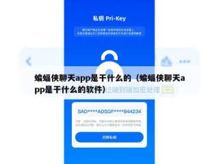 蝙蝠侠聊天app是干什么的（蝙蝠侠聊天app是干什么的软件）