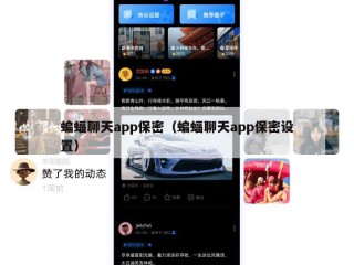 蝙蝠聊天app保密（蝙蝠聊天app保密设置）