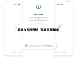 蝙蝠加密聊天群（蝙蝠聊天群id）