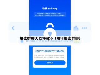 加密群聊天软件app（如何加密群聊）