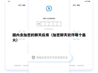 国内会加密的聊天应用（加密聊天软件哪个最火）