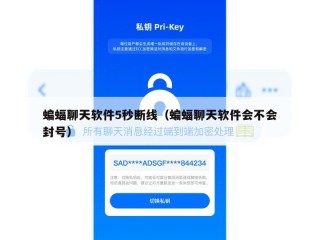 蝙蝠聊天软件5秒断线（蝙蝠聊天软件会不会封号）