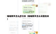 蝙蝠聊天怎么开分身（蝙蝠聊天怎么设置隐身）