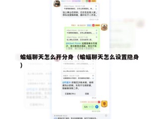 蝙蝠聊天怎么开分身（蝙蝠聊天怎么设置隐身）
