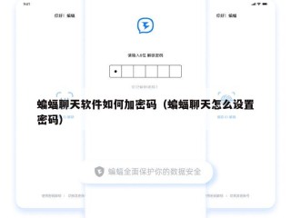 蝙蝠聊天软件如何加密码（蝙蝠聊天怎么设置密码）