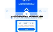 怎么给蝙蝠聊天加密（蝙蝠聊天怎样）